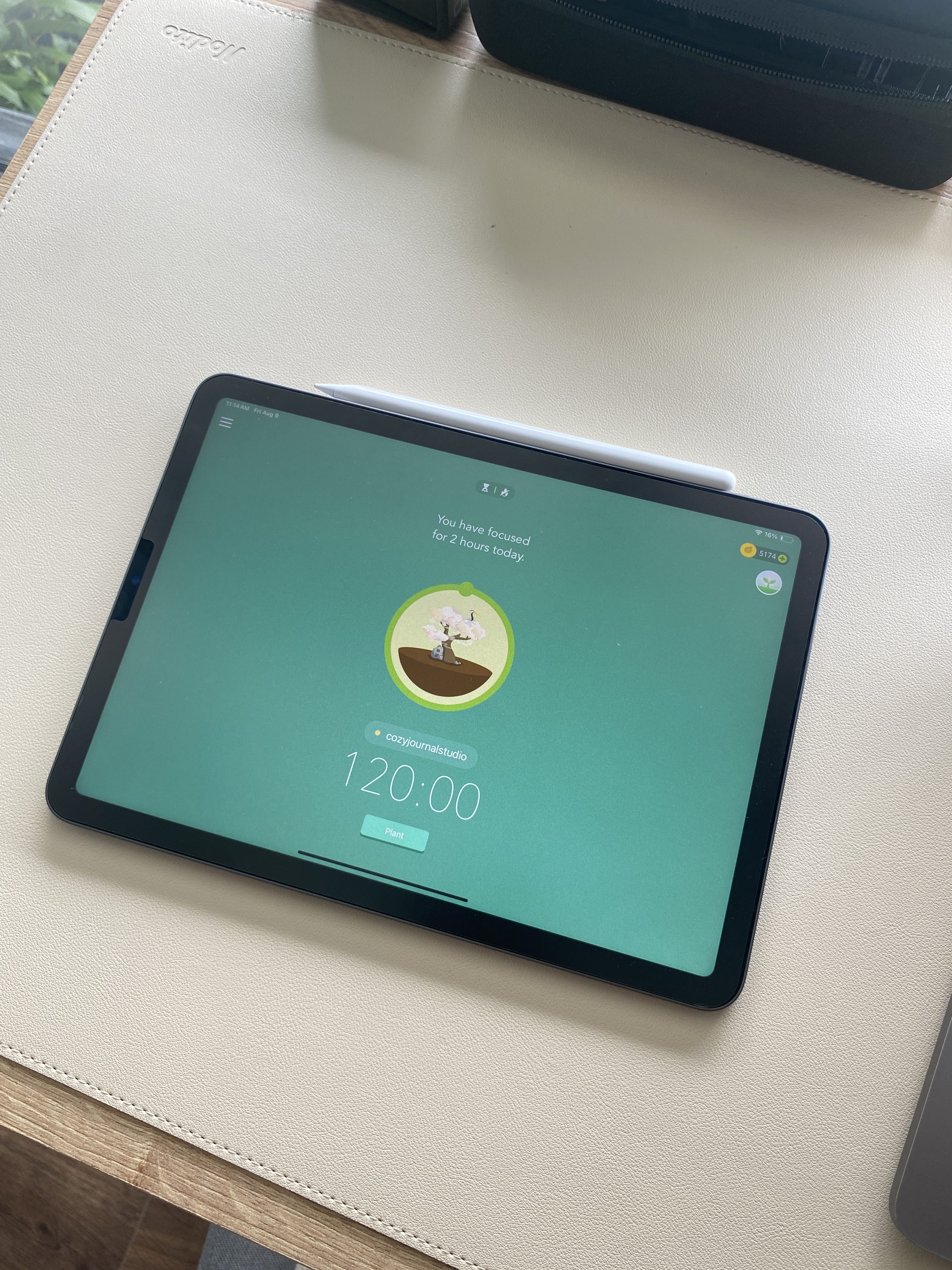 Simplify Your Digital Life: The Best Apps for Mindfulness and Productivity